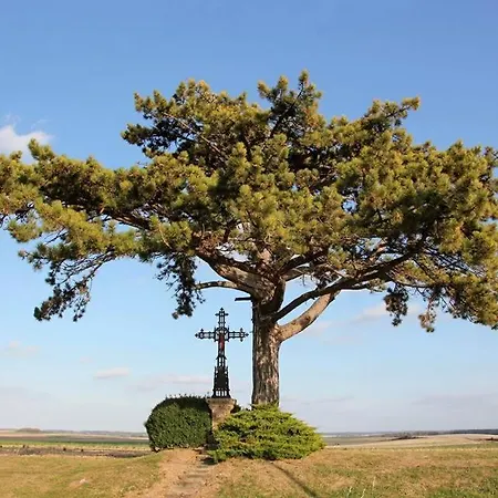 Du Pied Des Monts